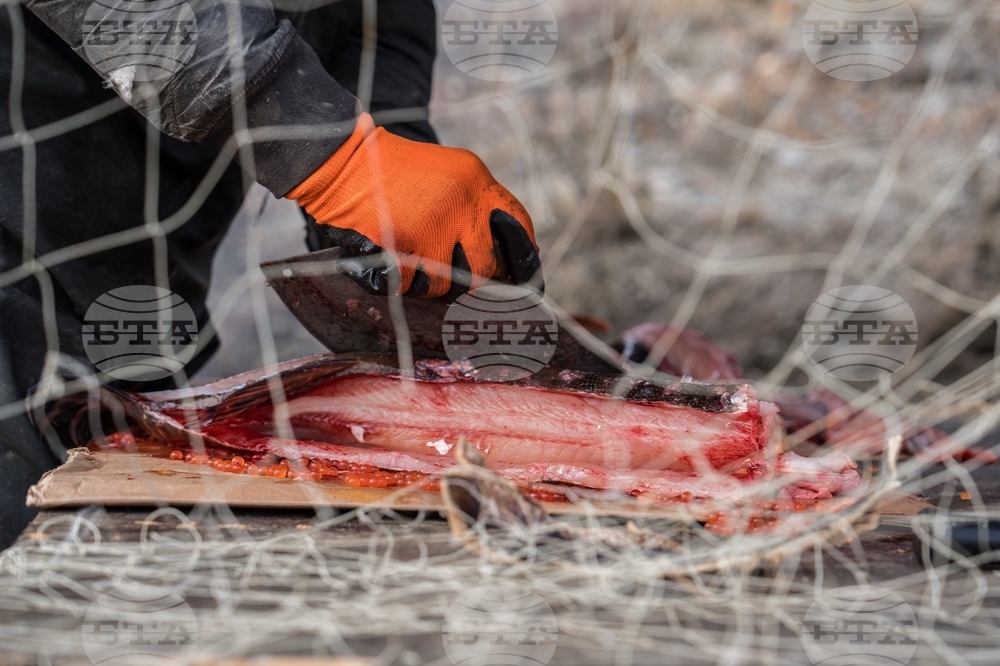 Climate Alaska Food Impact