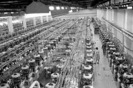 Фирма "Фазан" в Русе