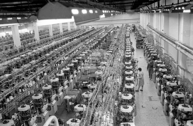 Фирма "Фазан" в Русе