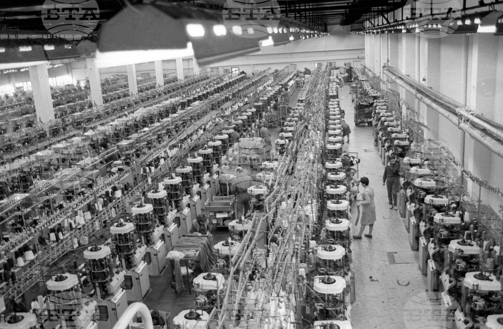 Фирма "Фазан" в Русе