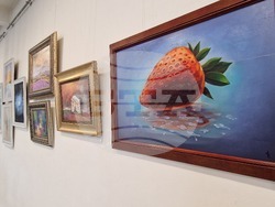 Хасково - Дружество на хасковските художници - изложба