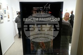 Галерия „Vejdi“ - изложба „Дървото“ - откриване