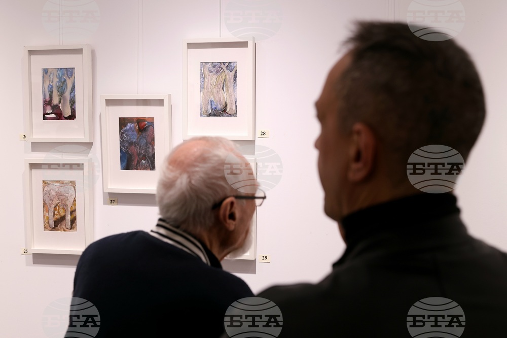 Галерия „Vejdi“ - изложба „Дървото“ - откриване