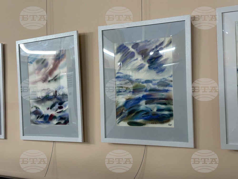 Самоков - изложба - Ивайло Орманков