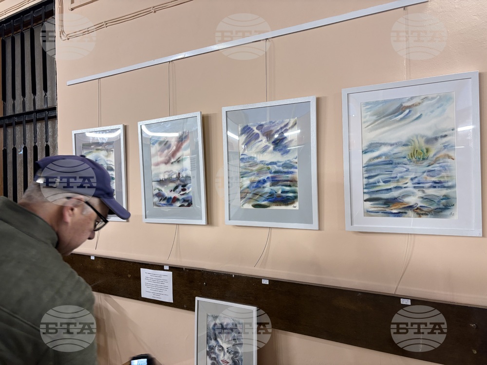 Самоков - изложба - Ивайло Орманков