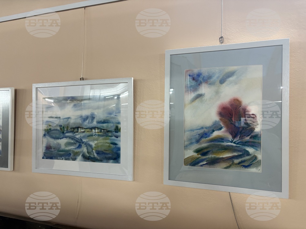 Самоков - изложба - Ивайло Орманков