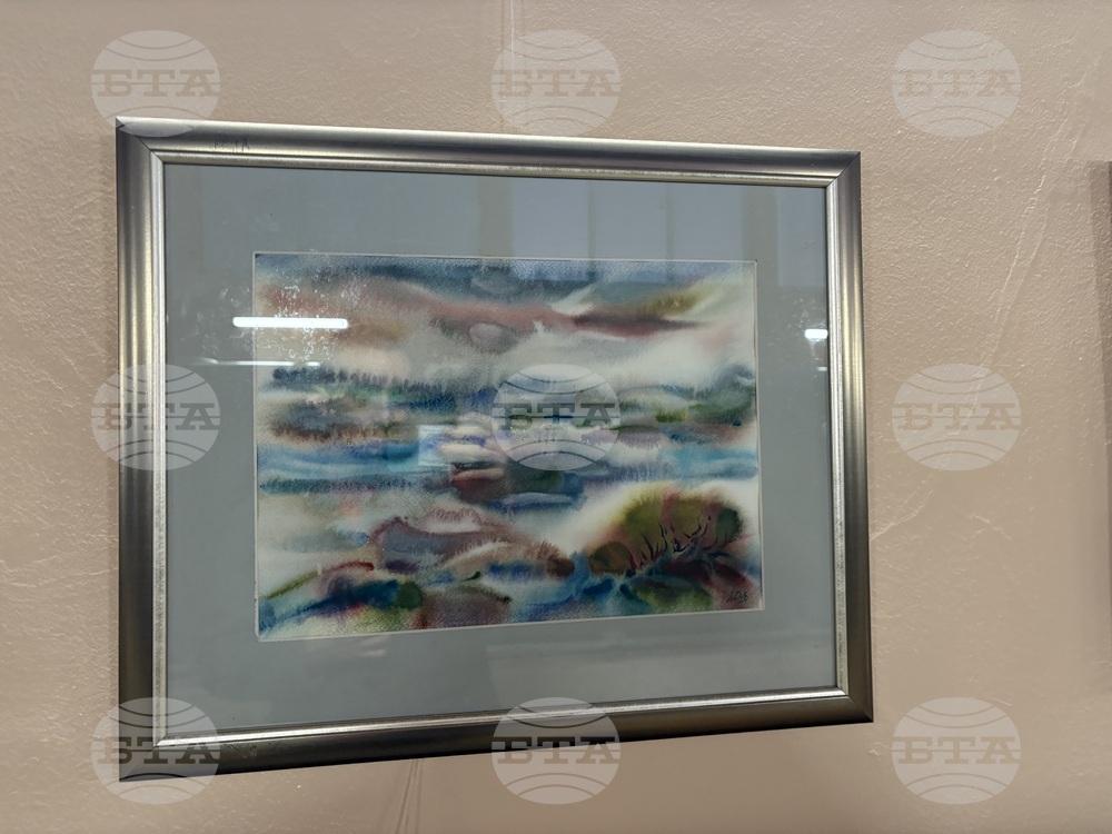 Самоков - изложба - Ивайло Орманков