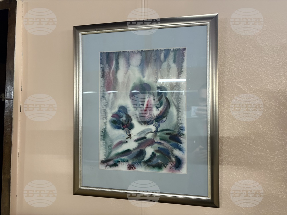 Самоков - изложба - Ивайло Орманков