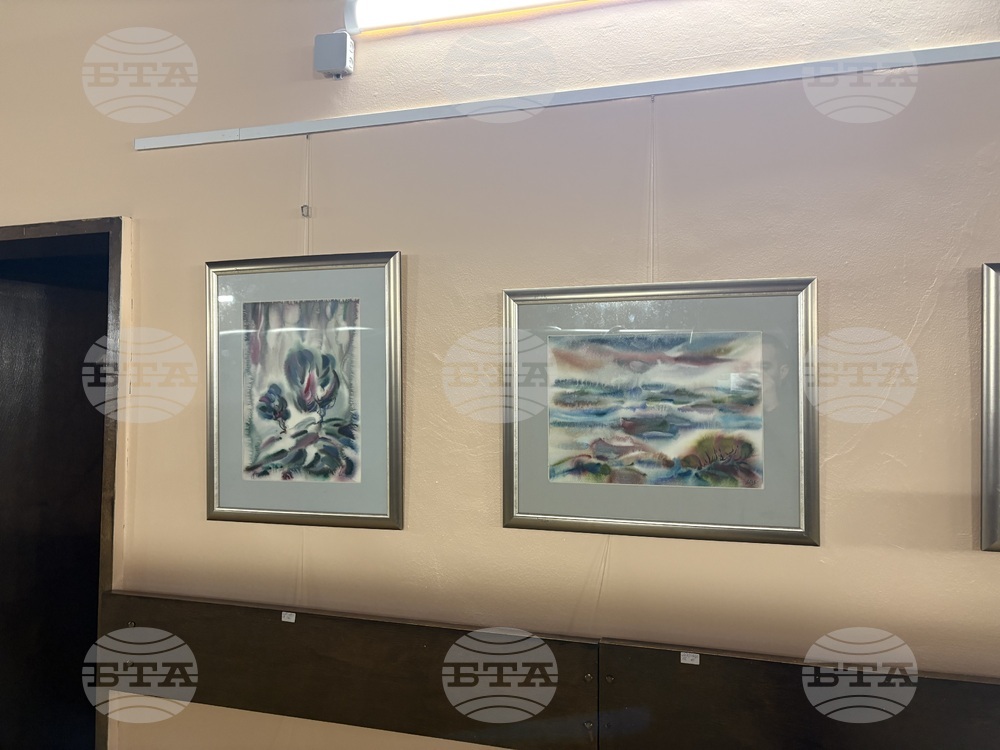 Самоков - изложба - Ивайло Орманков