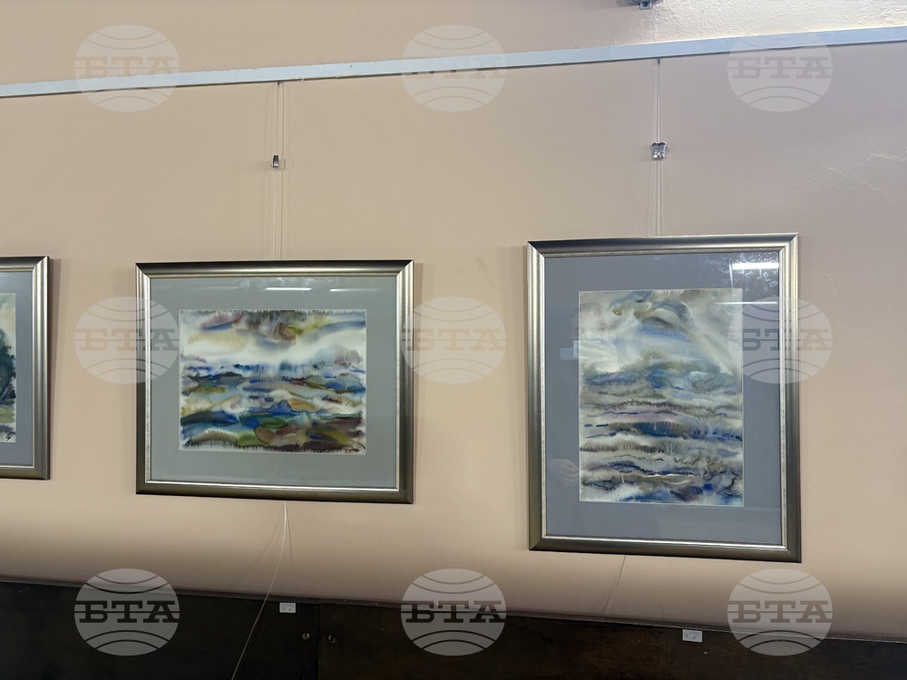 Самоков - изложба - Ивайло Орманков