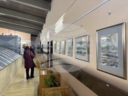 Самоков - изложба - Ивайло Орманков