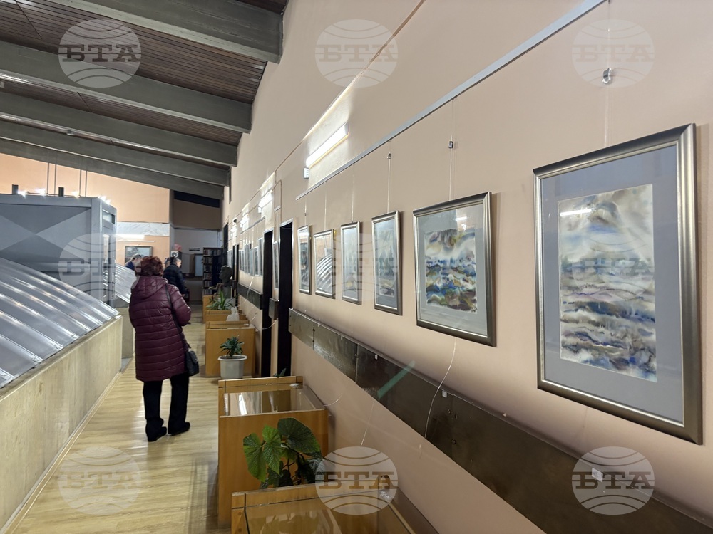 Самоков - изложба - Ивайло Орманков