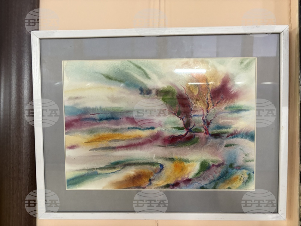 Самоков - изложба - Ивайло Орманков