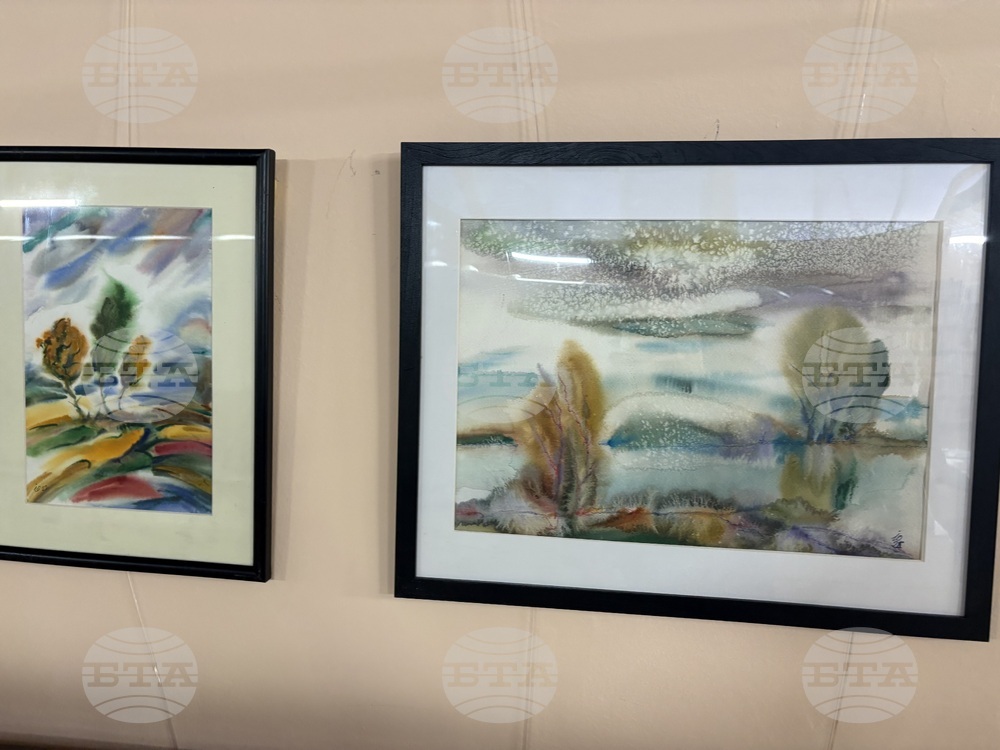 Самоков - изложба - Ивайло Орманков