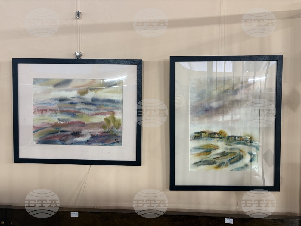 Самоков - изложба - Ивайло Орманков