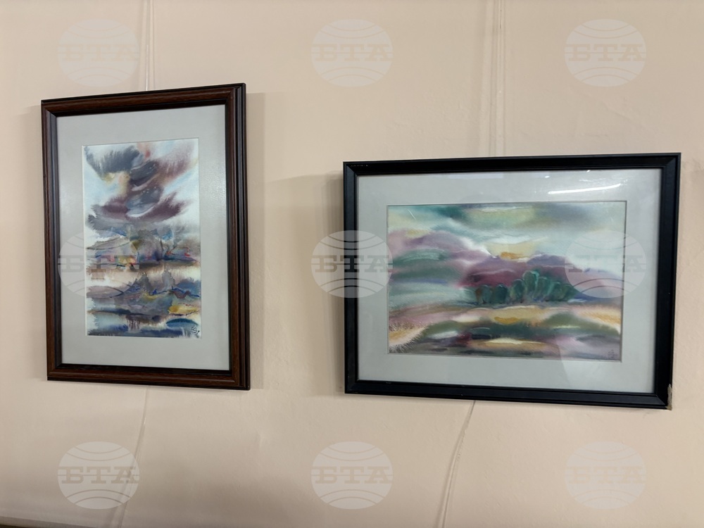 Самоков - изложба - Ивайло Орманков