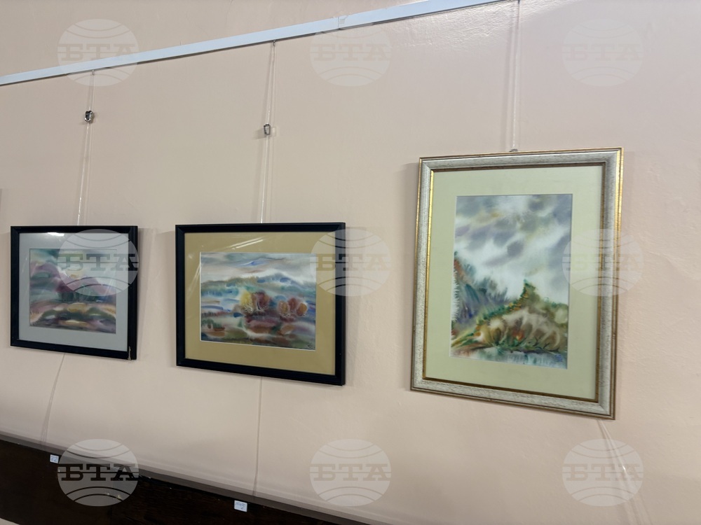 Самоков - изложба - Ивайло Орманков