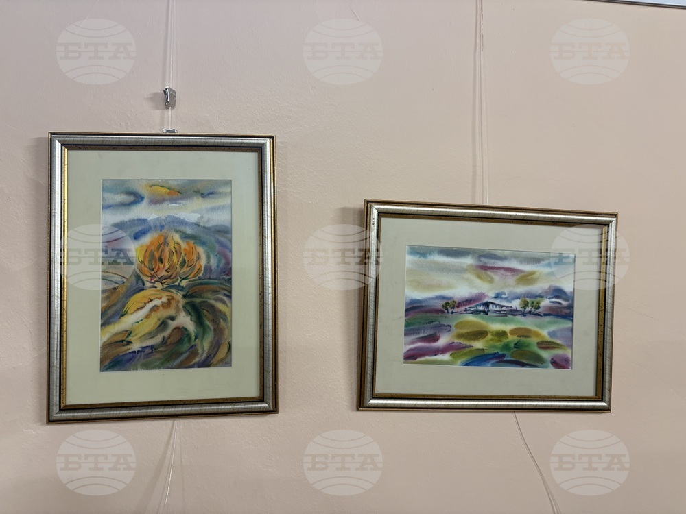 Самоков - изложба - Ивайло Орманков