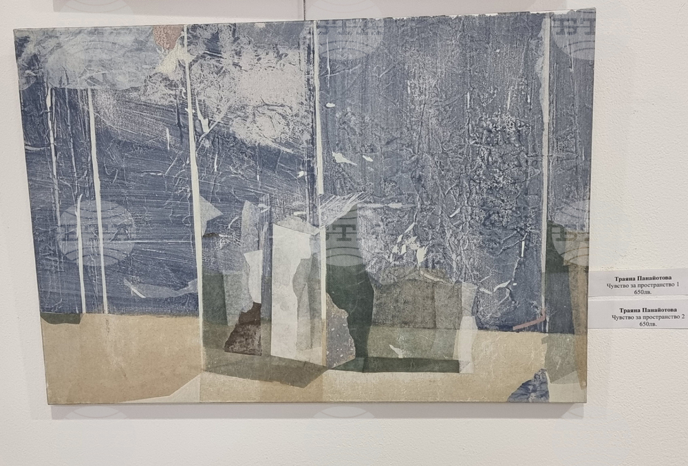 Ямбол - Коледна изложба