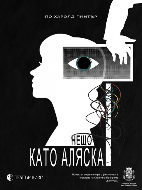 Столична програма "Култура": Театър "Нокс" представя спектакъла "Нещо като Аляска" на режисьора Стефан Зарев