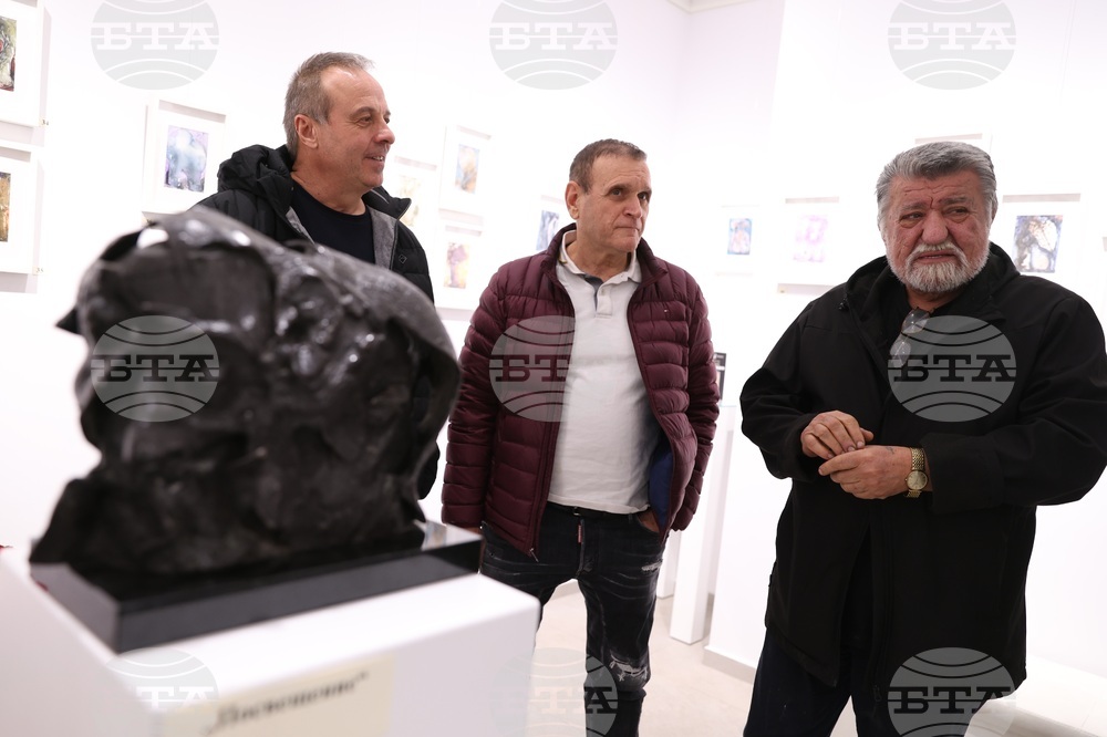 Галерия „Vejdi“ - изложба „Дървото“ - откриване