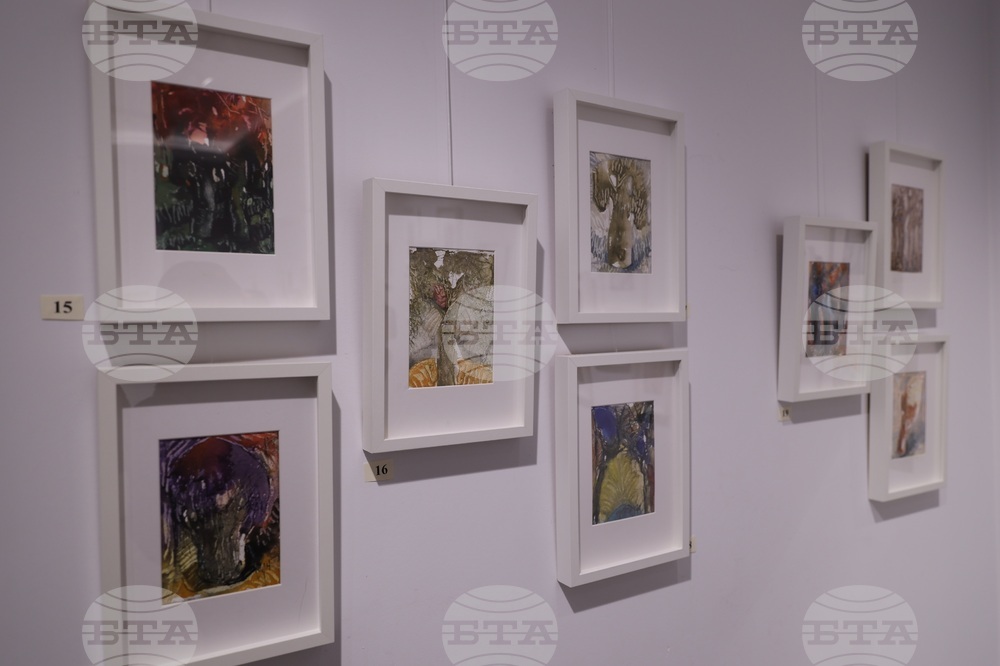 Галерия „Vejdi“ - изложба „Дървото“ - откриване