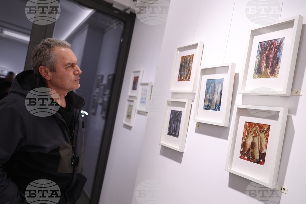 Галерия „Vejdi“ - изложба „Дървото“ - откриване