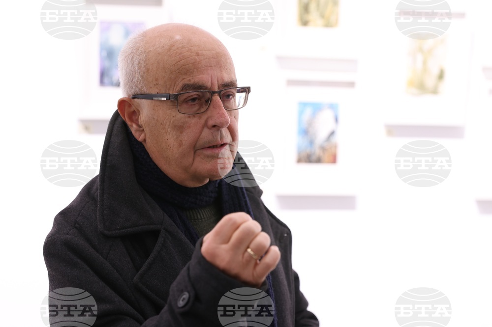 Галерия „Vejdi“ - изложба „Дървото“ - откриване