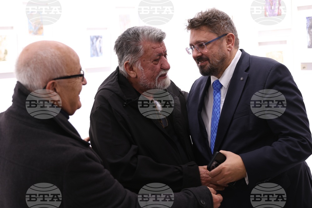 Галерия „Vejdi“ - изложба „Дървото“ - откриване