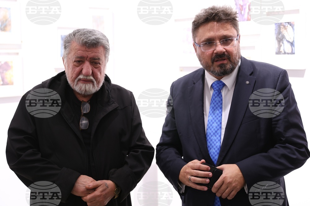 Галерия „Vejdi“ - изложба „Дървото“ - откриване