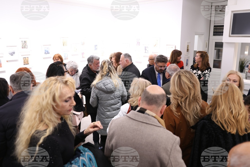 Галерия „Vejdi“ - изложба „Дървото“ - откриване