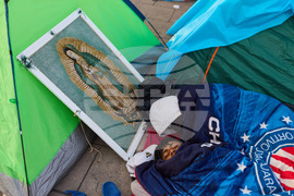 Mexico Our Lady of Guadalupe