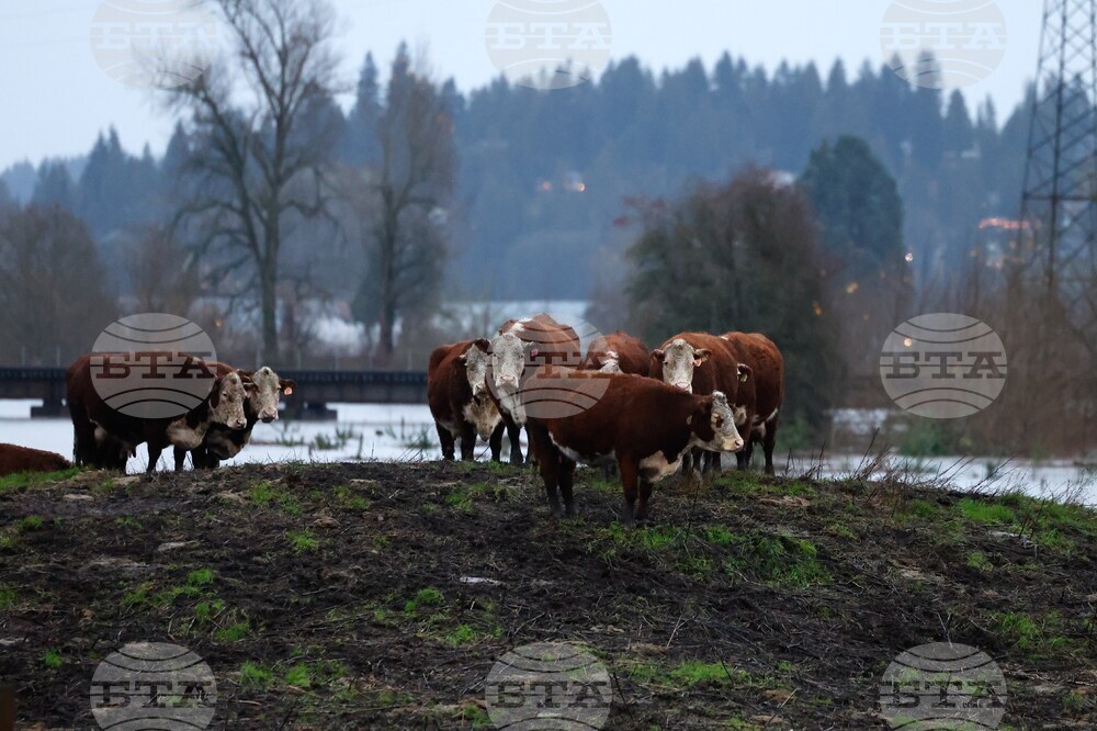 Extreme Weather Washington Flooding