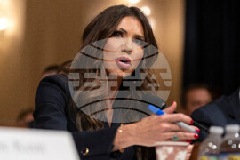 Congress Homeland Security