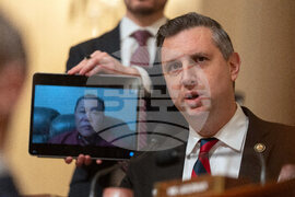 Congress Homeland Security