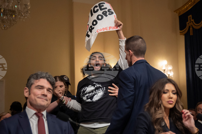 APTOPIX Congress Homeland Security