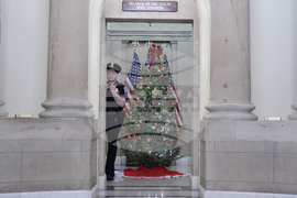 Capitol Christmas Tree