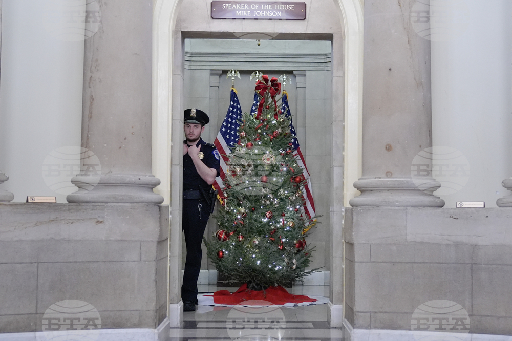Capitol Christmas Tree
