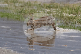 APTOPIX Canada Extreme Weather