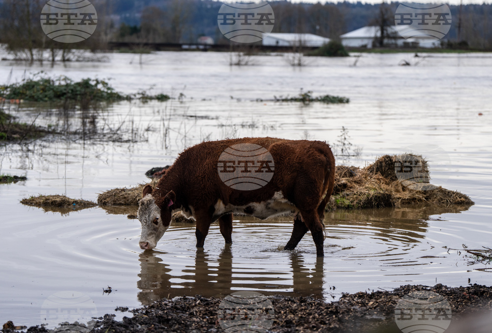Extreme Weather Washington