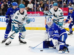 Sharks Maple Leafs Hockey