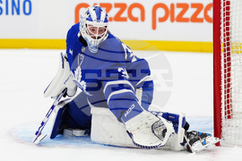 Sharks Maple Leafs Hockey