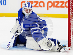 Sharks Maple Leafs Hockey