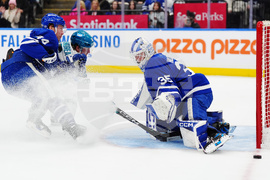 Sharks Maple Leafs Hockey