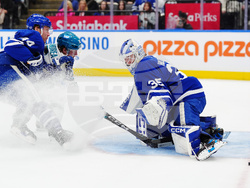 Sharks Maple Leafs Hockey