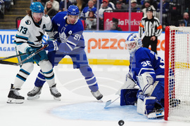 Sharks Maple Leafs Hockey