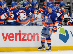 Ducks Islanders Hockey