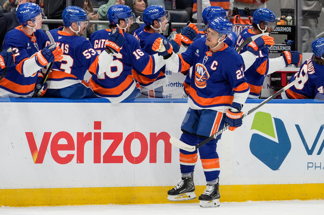 Ducks Islanders Hockey