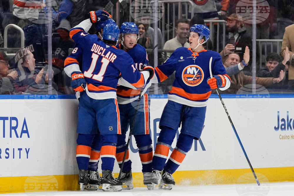 Ducks Islanders Hockey