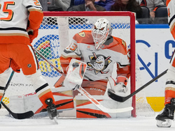 Ducks Islanders Hockey